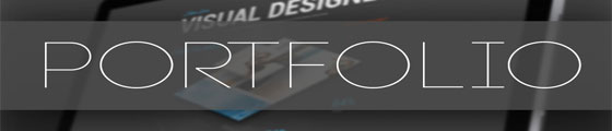Our Portfolio