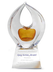 Amber Unity Art Crystal Award