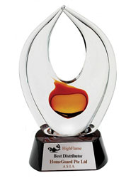 Amber Unity Art Crystal Award on Piano Wood