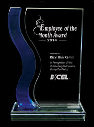 Blue Wave Crystal Award