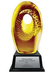 Amber Insight Sculptured Crystal Award