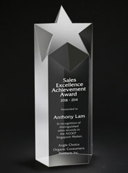 Starlite Optical Crystal Award