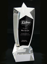Rising Star Crystal Award on Base