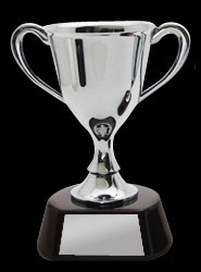 Silver Chromed Cup Trophy